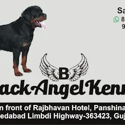 Black Angel Kennel