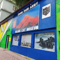 Black Cat Museum