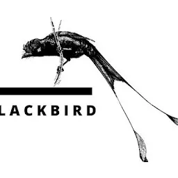 Blackbird & Co.