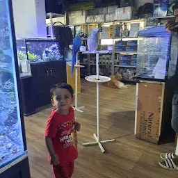 Blessings Aquarium