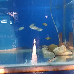 Blue Diamond Aquarium & pet's
