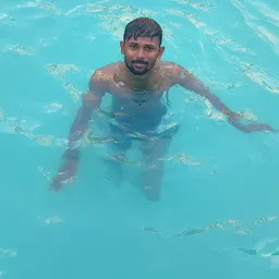 Blue Dolphin Swimming Pool