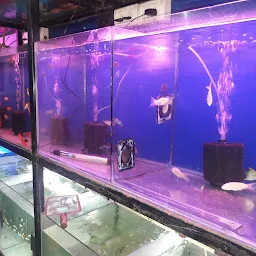 Blue Heaven Fish Aquarium