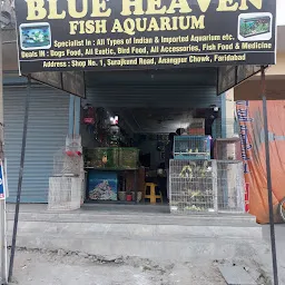 Blue Heaven Fish Aquarium