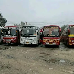 Blue Horse Travels bus