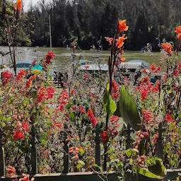 Boating Ticket Counter