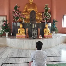 Bodhisatva Nagarjun Sangrahalay