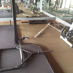 Body Carpenter Gym