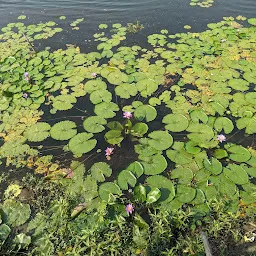 Boga Lake