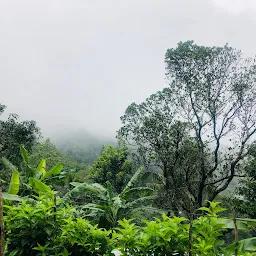 Bonacadu Valiyakunnu