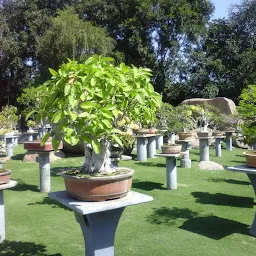 Bonsai Club, Bhopal