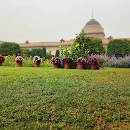 Bonsai Garden (Amrit udyan)