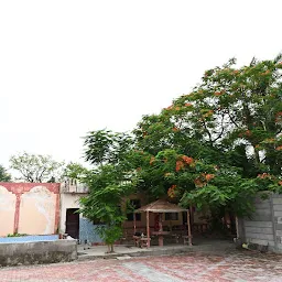 Borigamwala Garden