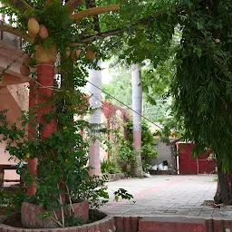 Borigamwala Garden