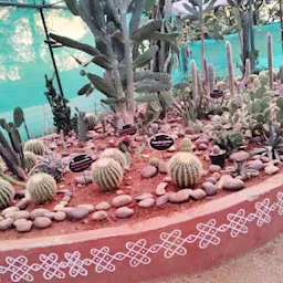 Sri Kotla Vijaybhaskar Reddy Botanical Garden