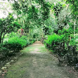 Botanical Garden