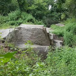 BOTANICAL GARDEN,DEPARTMENT OF BOTANY,OSMANIA UNIVERSITY