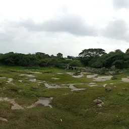 BOTANICAL GARDEN,DEPARTMENT OF BOTANY,OSMANIA UNIVERSITY