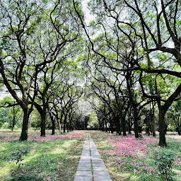 Botanical Garden Gate