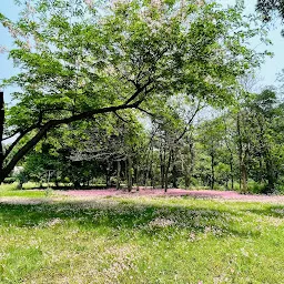 Botanical Garden Gate