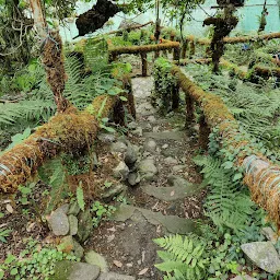 Botanical gardens Domes Nainital