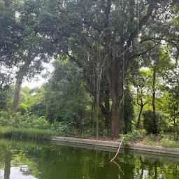 BOTANICAL PARK