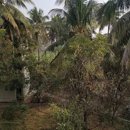 Botanical Survey of India Staff Quarters