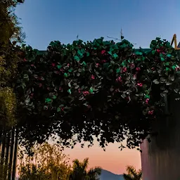 Bougainvillea Terrace by the lake