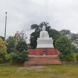 Buddha Vatika