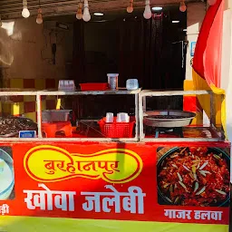 Burhanpur Khoa Jalebi & Juice