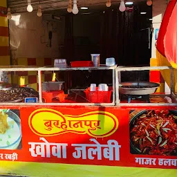 Burhanpur Khoa Jalebi & Juice