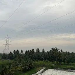 Butterfly bridge view