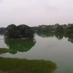 Butterfly Park in Karanji Lake