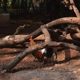 Butterfly Park in Karanji Lake