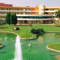 C. V. Raman Global University