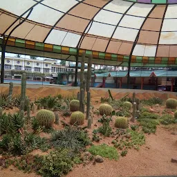 Cactus Garden