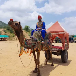 Camel Safari Pushkar