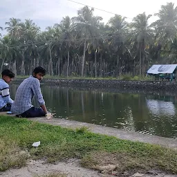 Canoli canal/puthiyakadappuram/pattaruparambu/kalad/ tanur