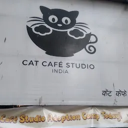 Cat Café Studio