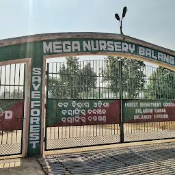 Central Nursery Balangir