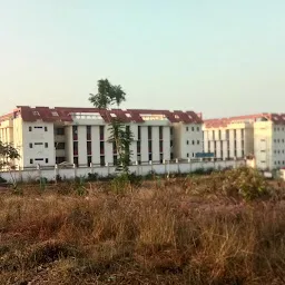 Central University Of Odisha