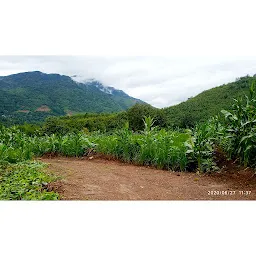 Chabau Land field