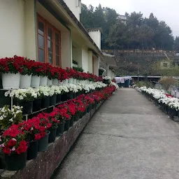 Chakhesang Baptist Church