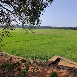 Chakyarkadavu field view