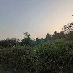 Chambal Colony Park
