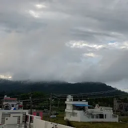 Chamundi Forest