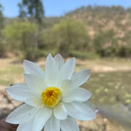 Chamundibetta Back Trekking trail