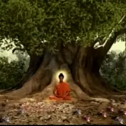 Chandramani Buddha Vihar