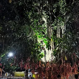 Maa Chandrika Devi Temple, Kanpur