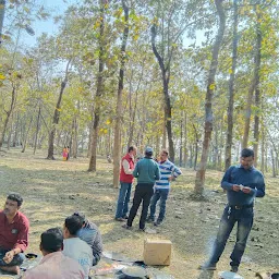 Chandur Forest